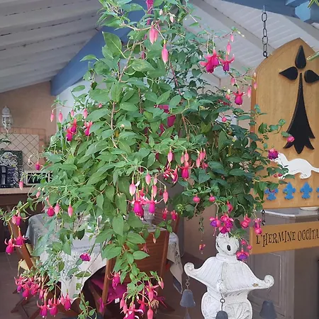 L'Hermine Occitane B&B Gæstehus