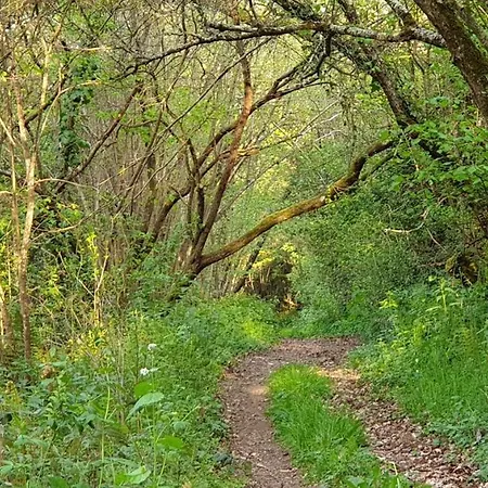 L'Hermine Occitane B&B Gæstehus 4*