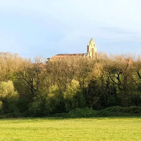 L'Hermine Occitane B&B Gratens