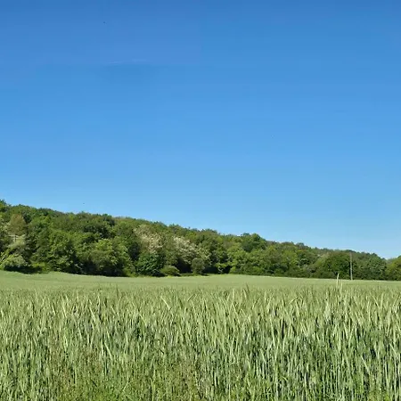 L'Hermine Occitane B&B Gæstehus Gratens
