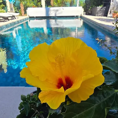 Gæstehus L'Hermine Occitane B&B 4*