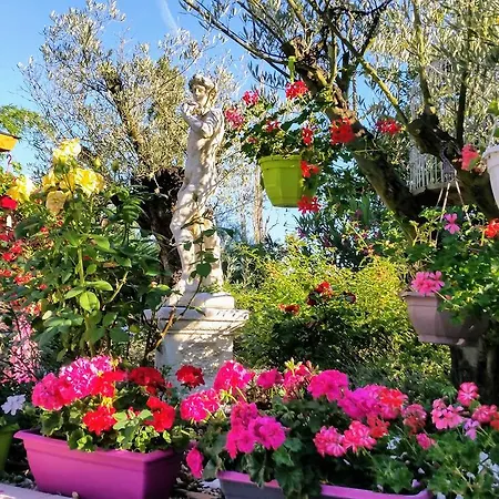 Gæstehus L'Hermine Occitane B&B 4*