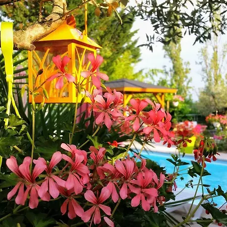 L'Hermine Occitane B&B Gæstehus